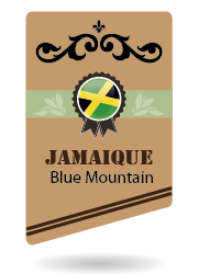 JAMAIQUE BLEU MONTAGNE