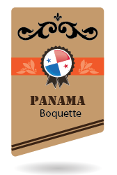 PANAMA BOQUETTE